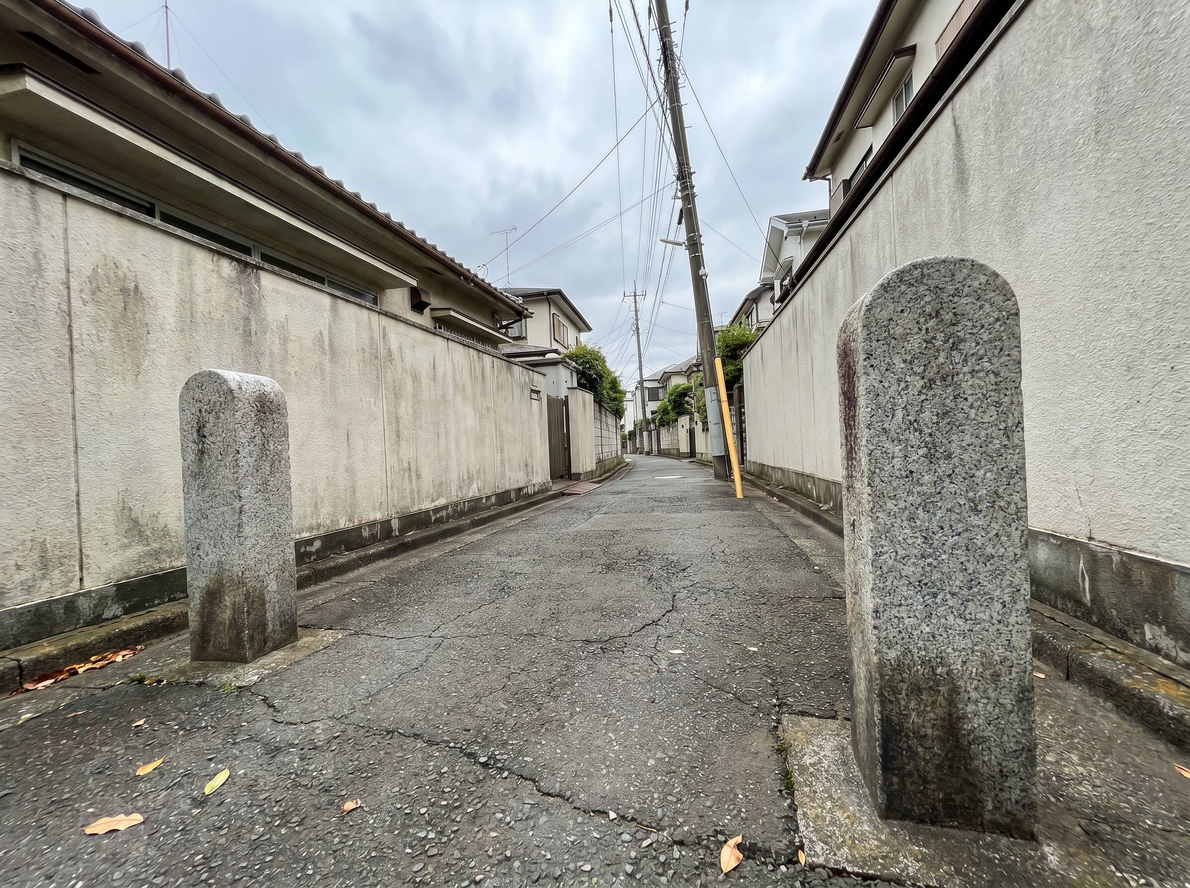Granite at the roji-mouth
