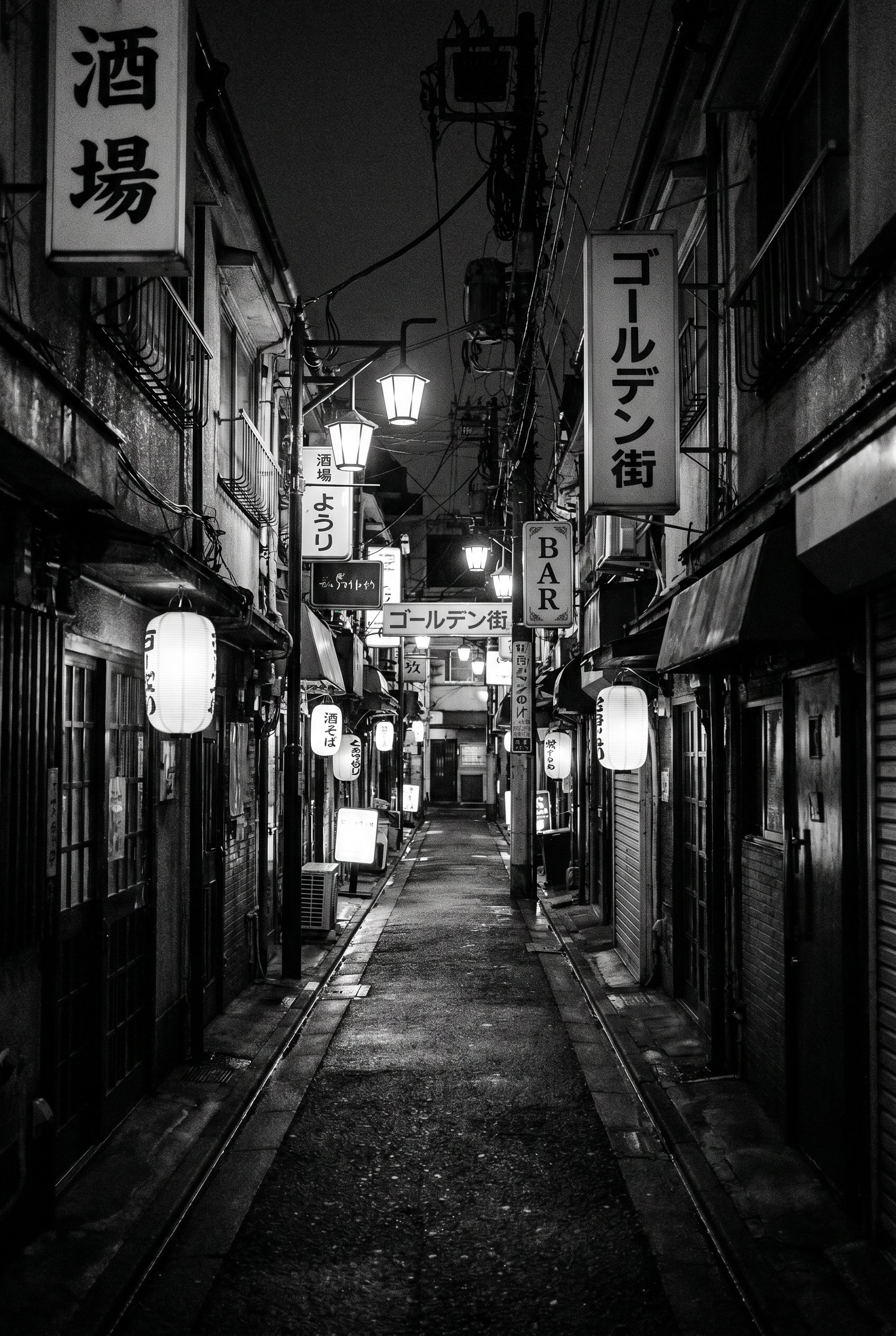 Sunday Night, Golden Gai to Omoide